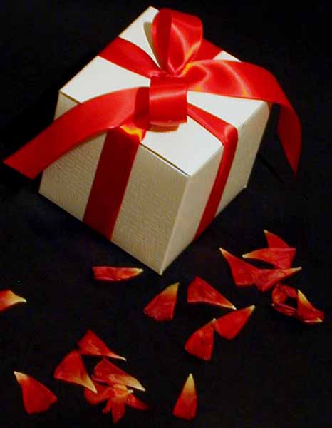 We have the Top 10 Valentine Gift Idea Packages available 
